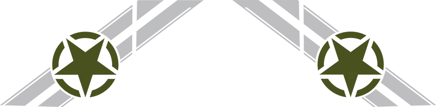 2020-2026 Gladiator Cab and Bed Side Bar Stripes Graphic graphic design style 03 image.